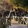 Nature Trail in Rota, Spain