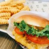 Shake Shack Burger in Gotemba, Japan