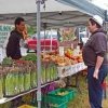 Yelm Farmers Market-asparagus