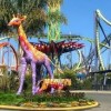 Six Flags Discovery Kingdom- Travis AFB- giraffe