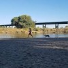 feather river parkway- beale afb- man and dog running