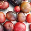 Toledo Thursday Market Wa-tomato