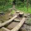 Julius J Knobeloch Woods Nature Preserve-bridge