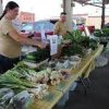 Leavenworth Community Farmers Market-onion