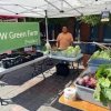sedro-woolley farmers market-green farm