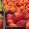 Prosser Farmers Market-nectarine