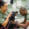Kenwood Animal Hospital Inc bethesda-dog