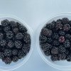 Clarkston Farmers Market Washington State-black berry