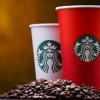 Daily Grind NIColE NSA Bethesda redcups