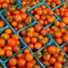 Madrona Farmers Market- tomato