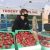 Camas Farmers Market-strawberry