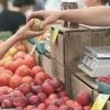 COLUMBIA CITY FARMERS-apple