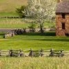 First Battle of Manassas-wood