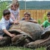 Reptile Gardens Rapid City- turtle