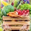 Tobin FarmArt Market Texas-vegetable