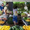 Woodinville Farmers Market-shopper