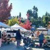 Port Orchard Farmers Market-cars