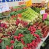 Puyallup Farmers Market-radish