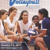 Volleyball Flyer in El Paso, Texas