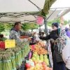 North Bend Farmers Market-vegetable