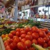 WNC Farmers Market-Asheville-tomato