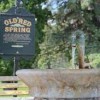 Old Red Spring- 1