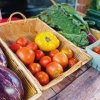 Elgin Farmers Market-tomato
