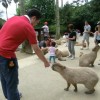 biopark05