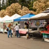 Shoreline Farmers Market Wa-fruits