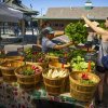 Downtown Farmers Market - Walla Walla-radish