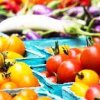 Burnet County Farmers Market-red tomato