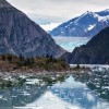 tracy arm fjord cruise port