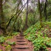 Sugarloaf Ridge State Park Travis AFB- hiking trail