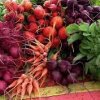 Coupeville Farmers Market WA-radish