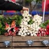 Snohomish Farmers Market-white radish