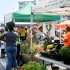&#039;s Market-vegetable