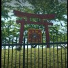 camp fuji1