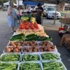 Bell County Farmers Market-vegetable