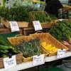 Port Townsend Farmers Market-cucumber