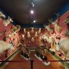john e conner museum kingsville-animals