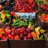 Des Moines Waterfront Farmers Market-pepper