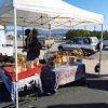 Newport Farmers Market WA-stall