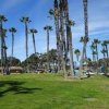 Coronado Tidelands Park-palms