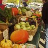 carnation farmers market-kale
