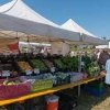 Coupeville Farmers Market WA-fresh product