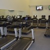 Treadmill Equipment in Tacoma, Washington State