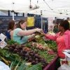 chehalis community farmers-avocado