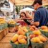 dupont farmers market wa state-peaches