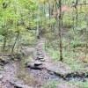 Julius J Knobeloch Woods Nature Preserve- trail