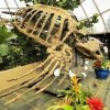Reptile Gardens Rapid City-skeleton